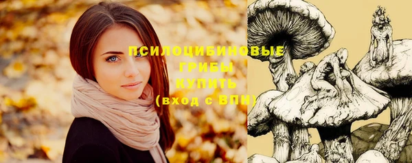 соль курить ск Заводоуковск