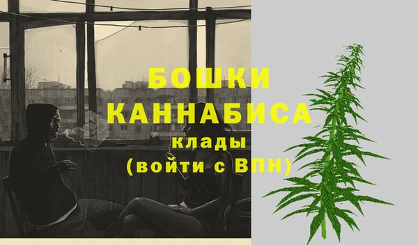 соль курить ск Заводоуковск
